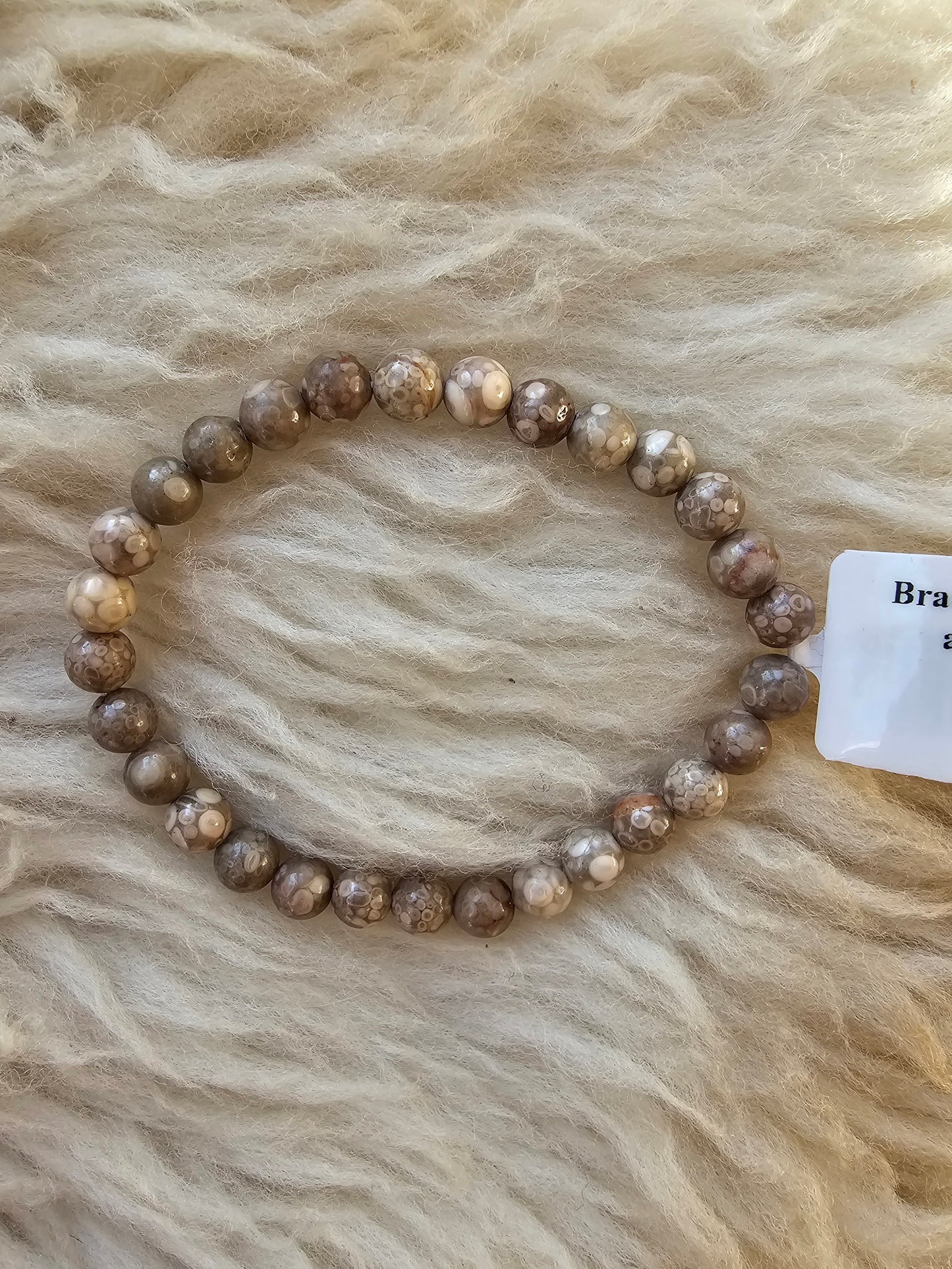 Versteinerte Koralle, Kugelarmband 6 mm