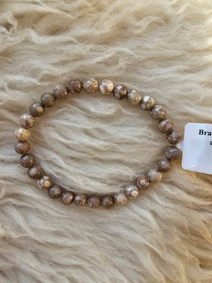 Versteinerte Koralle, Kugelarmband 6 mm