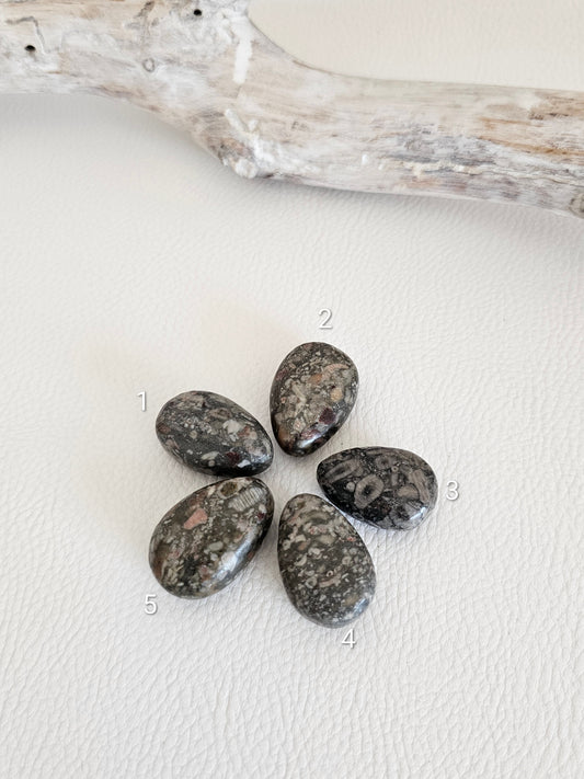 Versteinerte Koralle dunkel, Anhänger gebohrt